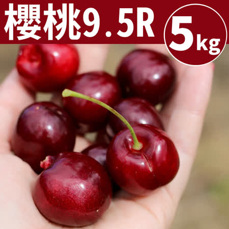 9.5Row
華盛頓櫻桃5kg