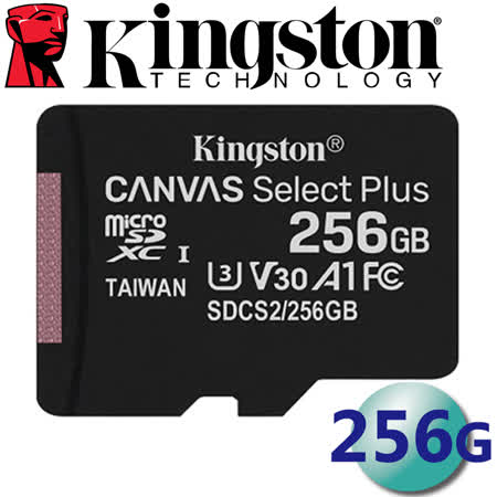 Kingston 金士頓 256GB microSDXC UHS-I U3 A1 V30 記憶卡 SDCS2/256G