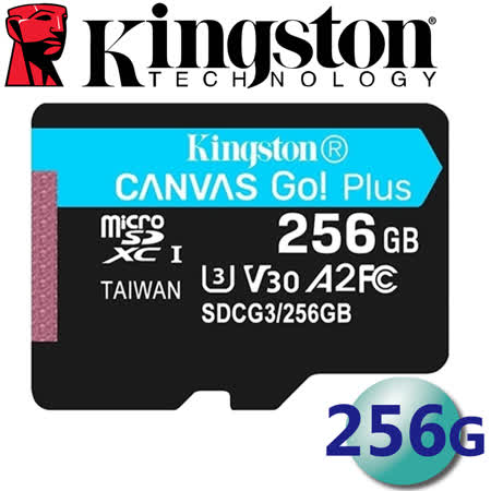 Kingston 金士頓 256GB microSDXC UHS-I U3 V30 A2 記憶卡 SDCG3/256GB