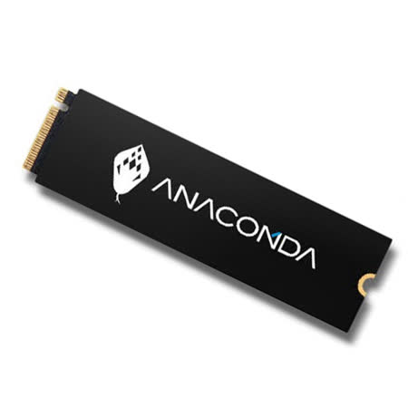 ANACOMDA  I2 256GB PCIe Gen3x4 NVMe SSD