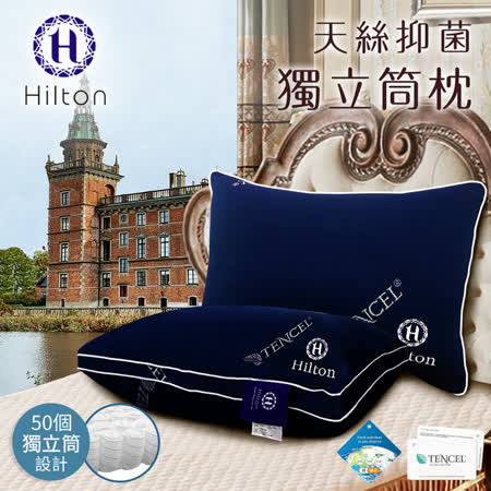 【Hilton希爾頓】六星級天絲抑菌獨立筒枕(B0114-N)