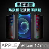 AdpE iPhone 12 mini專用 5.4吋 全屏覆蓋防窺鋼化玻璃保護貼