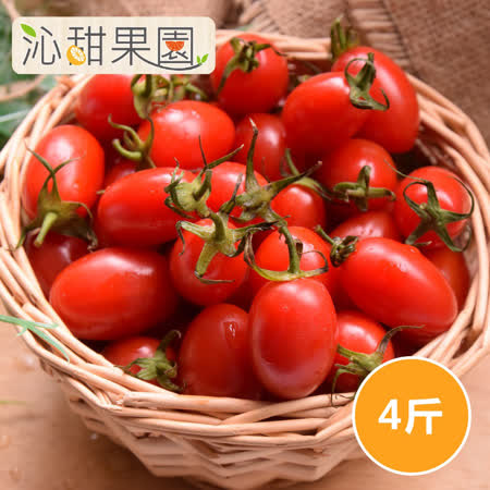 沁甜果園SSN
玉女小番茄4斤