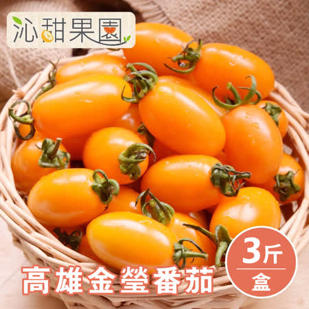 沁甜果園SSN
高雄金瑩番茄3斤