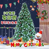 【COMET】8呎雙葉雪花漆松果聖誕樹(SCA24008)