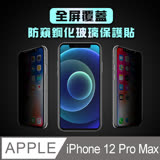 AdpE iPhone 12 Pro Max 專用 6.7吋 全屏覆蓋防窺鋼化玻璃保護貼