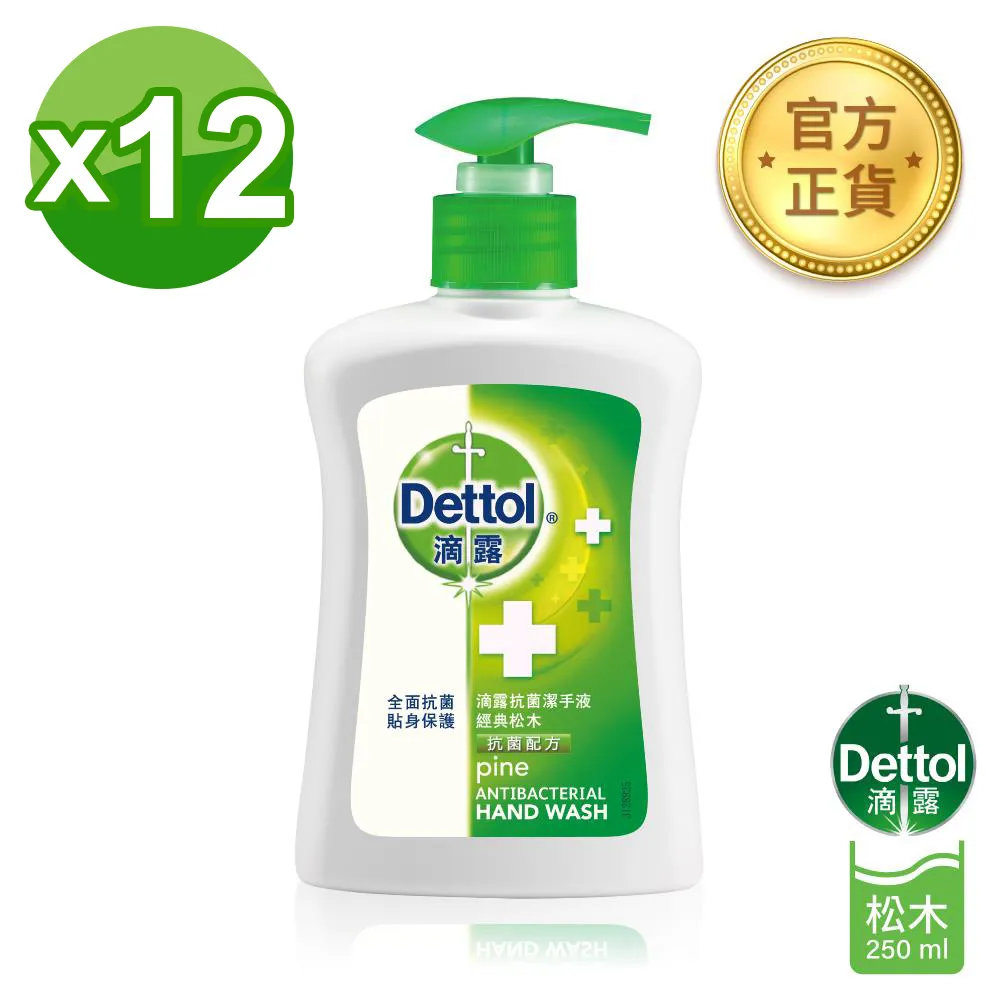 滴露Dettol-經典松木洗手乳(250ml)*12