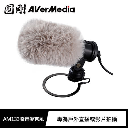 圓剛 AM310 黑鳩
高音質USB麥克風