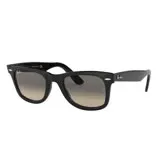 Ray Ban-Wayfarer Classics款黑色框綠色經典鏡片