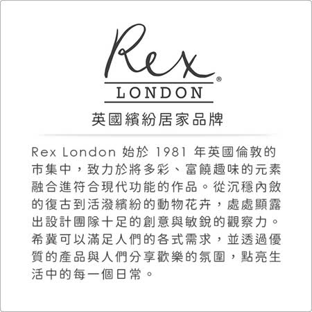 《Rex LONDON》圍邊+蛋糕裝飾(動物派對)