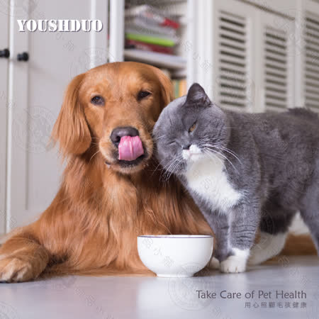 優思多 YOUSIHDUO 多骨力犬貓強效關節粉 70g 犬貓適用 關節保健 寵物營養品