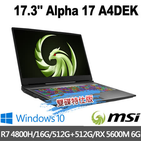msi 微星 Alpha 17 
17.3吋 雙碟版電競筆電