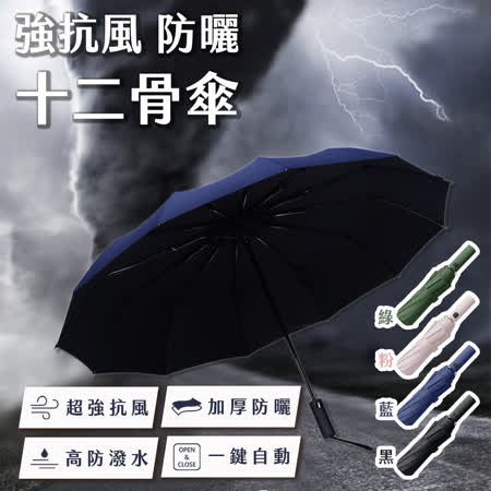 抗風UPF50+
防曬十二骨傘2入