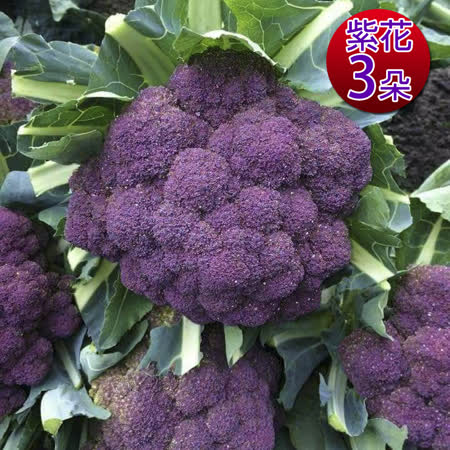 鮮採家
軟嫩帶葉紫花椰菜