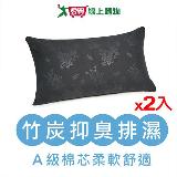 【2件超值組】臺灣製雪妮絲可水洗抑臭竹碳舒眠枕-45x75cm柔軟枕 舒【愛買】