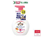 獅王趣淨洗手慕斯清新果香250ML【愛買】