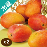 外銷等級芒果5KG/箱X2