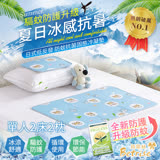 【Betrise】升級驅蚊防護-日本夯熱銷防蚊抗菌固態凝膠持久冰涼墊-獨家開版(單人2床2枕)
