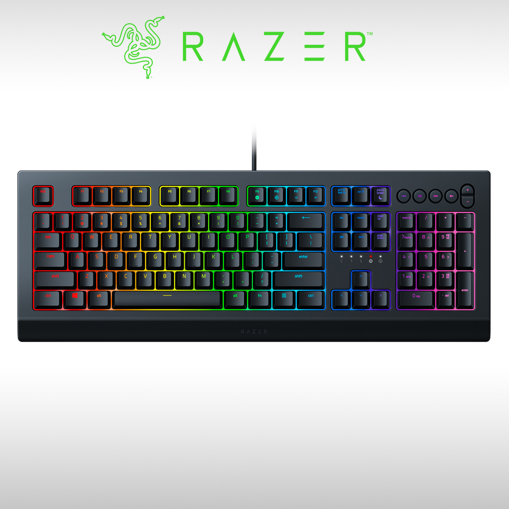 【RAZER 雷蛇】CYNOSA V2 薩諾狼蛛幻彩版 V2 電競鍵盤 防潑水中文版