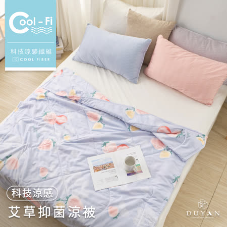 《DUYAN 竹漾》Cool-fi 科技涼感 艾草抑菌涼被-芋見莓好