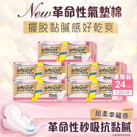 【好自在】Air Cushion 抗黏膩氣墊棉 - 秒吸抗黏日用衛生棉 24cm 24片x5包 (共120片)