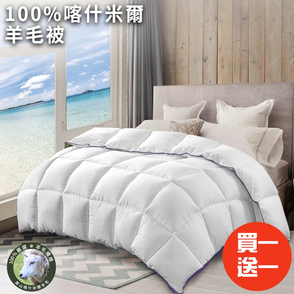 【三浦太郎】100%喀什米爾羊毛被2.5Kg/買一送一(B0842-A25)