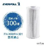 EVERPOLL FH-030濾芯 (FH030) 適用傳家寶全戶濾淨除氯淨水器FH-301(FH301)