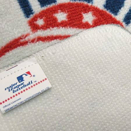 佳冠~洋基隊地墊 正版授權 MLB美國職棒大聯盟 踏墊 腳踏墊 吸水墊 門口墊 防滑墊 寵物床墊