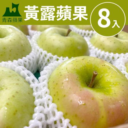 青森
黃露蘋果XL8入