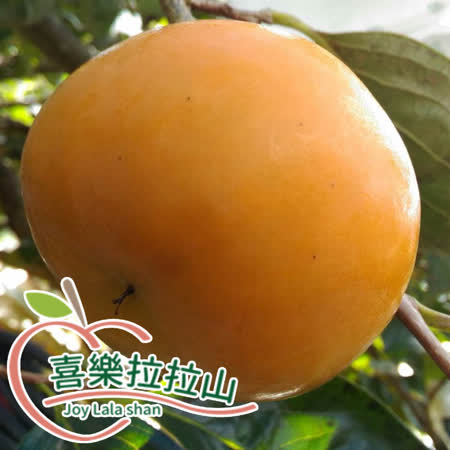 拉拉山
甜柿8粒(2斤8兩/盒)