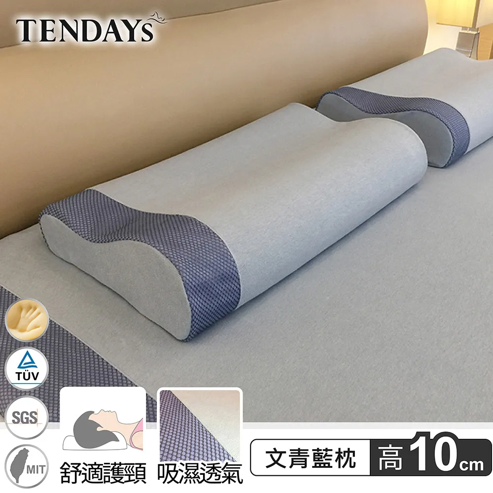 【TENDAYS】玩色柔眠記憶枕(文青藍)10cm高