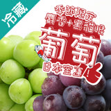 日本嚴選葡萄超值組(綠+黑)