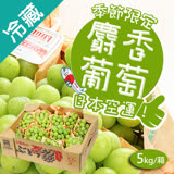 日本麝香綠葡萄 5kg/箱(約10-12串 含箱重)