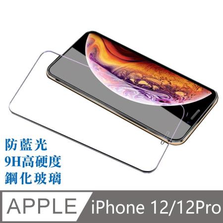 【台灣霓虹】iPhone 12/12Pro 滿版鋼化玻璃保護貼