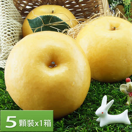 【水果達人】XXL等級韓國高接梨5顆