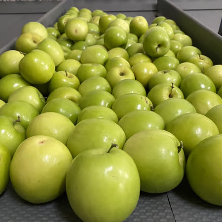 綠大農莊
雪莉蜜棗16顆禮盒