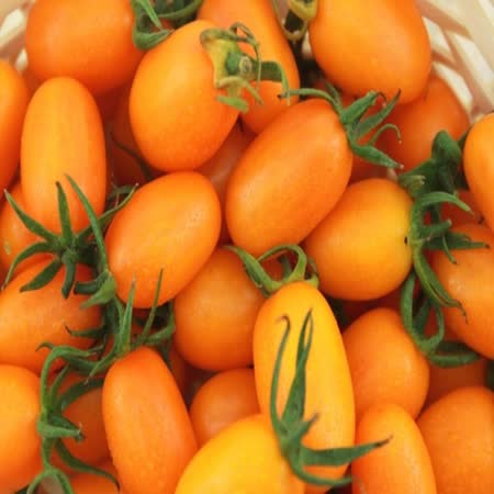 (鮮活本舖)
橙蜜小番茄3kg/箱