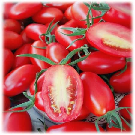 (鮮活本舖)玉女小番茄2.4kg/箱