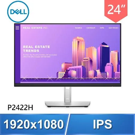 DELL 戴爾 P2422H 24型 IPS 薄邊框 顯示器螢幕《原廠四年保固》