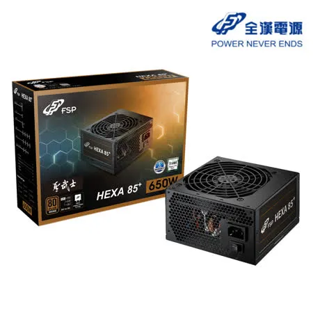 FSP 全漢 聖武士 650W 80 Plus銅牌 電源供應器