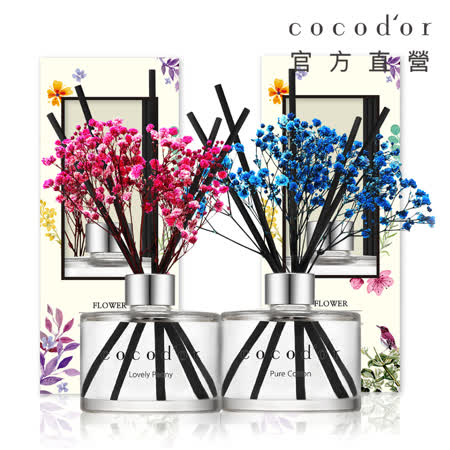 cocodor 永生花擴香瓶200mlx2入組【官方直營】