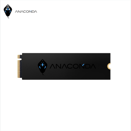 ANACOMDA巨蟒 PCIe Gen4x4 NVMe SSD固態硬碟 I4X 1000GB