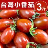 【甜露露】台灣小番茄3台斤散裝(3台斤±10%)