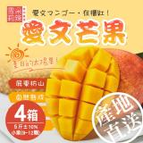【雪莉朵辣嚴選】屏東枋山愛文芒果-五斤小果x4盒