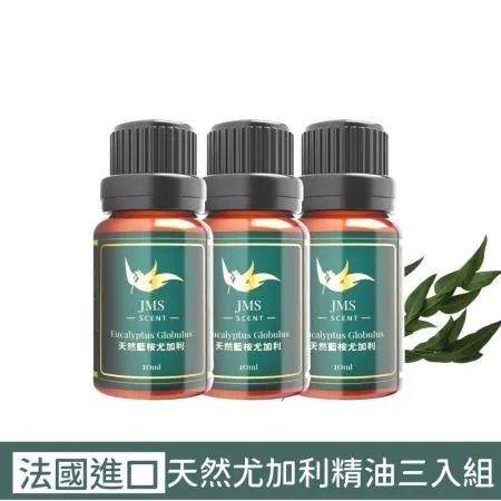 JMScent 尤加利精油三入組 純天然 (10ml)