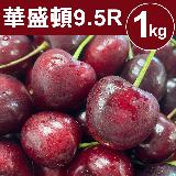 【甜露露】華盛頓櫻桃9.5R 1kg(1kg±10%)