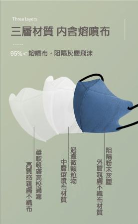台灣急速出貨 最新莫蘭迪成人3D立體口罩 成人口罩 立體口罩 防塵口罩 10入-包 共7款 - 200片