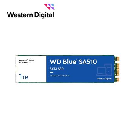 WD藍標 SA510 1TB M.2 2280 SATA SSD固態硬碟