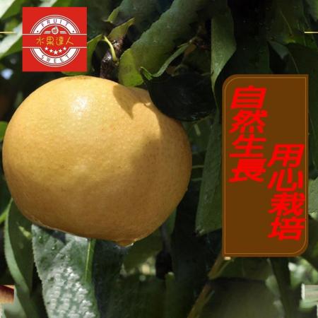 【水果達人】苗栗卓蘭爆汁高接梨禮盒8顆*1箱