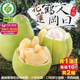 買1送1 【產銷履歷】花蓮鶴岡老欉文旦共2箱(約10斤/箱)